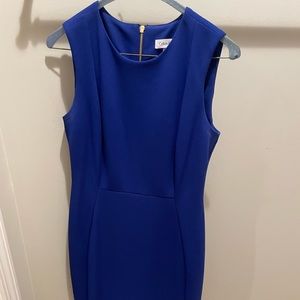 Calvin Klein size 6 shift dress
